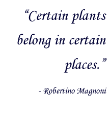  “Certain plants belong in certain places,”